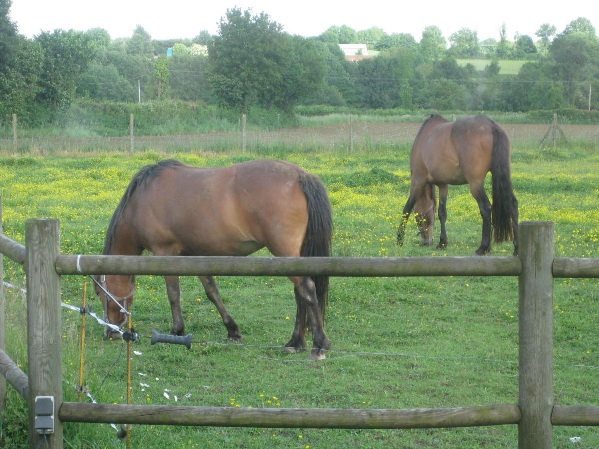 Chambre D'Hotes Proche Puy Du Fou Le Pin  ภายนอก รูปภาพ